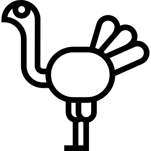 Ostrich facing left